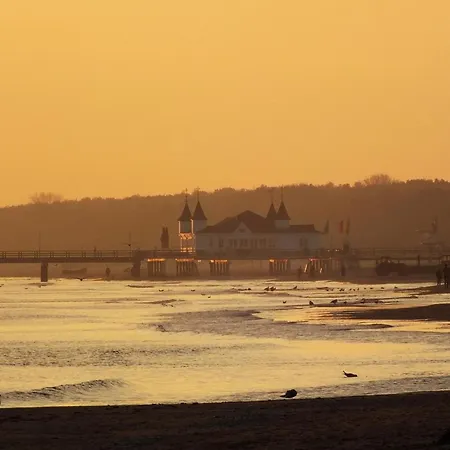 Strandloper, Zinnowitz